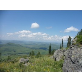 Шумейко Наталья Валерьевна